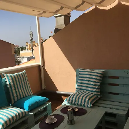 Fanabe Sun 365 Estudio *